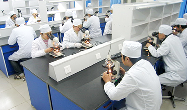 质量过硬