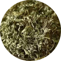 艾草